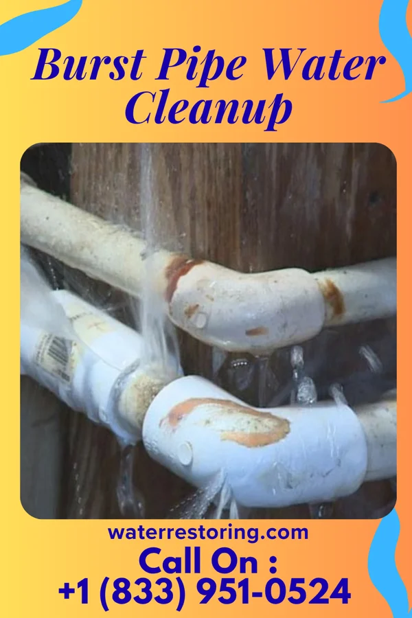 Burst Pipe Water Cleanup in Brice, OH