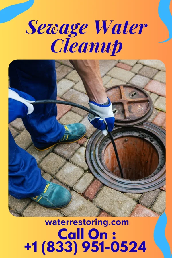 Sewage Water Cleanup in Brice, OH